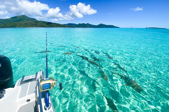 Exploration, Taha'a Lagoon Tour by Private Boat - Key points at a glance