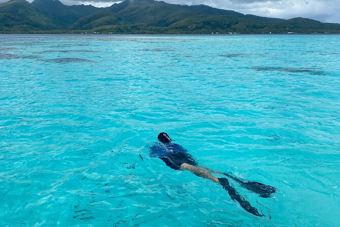 Exploration, Taha'a Lagoon Tour by Private Boat - Jardin de Corail, fruit beside the reef