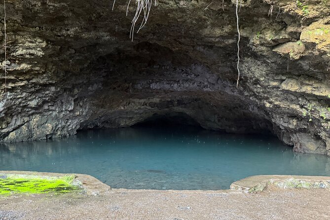 Explore Tahiti in depth in a day - What the vehicle and small group add