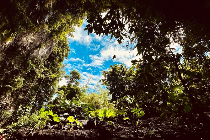 Explore Tahiti Nui, its landscapes and iconic sites. - Faarumai Waterfalls: the tour’s greenest pause