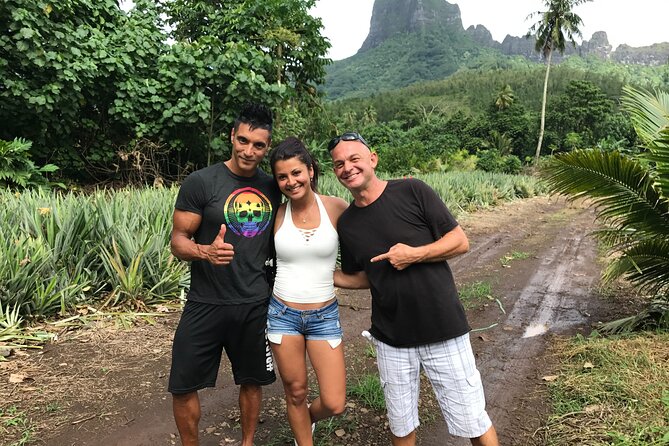 Franckyfranck tours Moorea - Tours privés // Private half day tours - Pineapple fields in Opunohu Valley