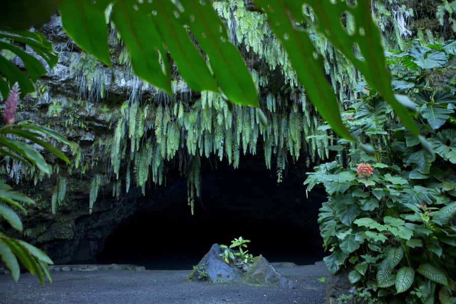 From Papeete: Tahiti Highlights Full-Day Private Tour - Vaipahi Water Gardens: the gentler side of Tahiti