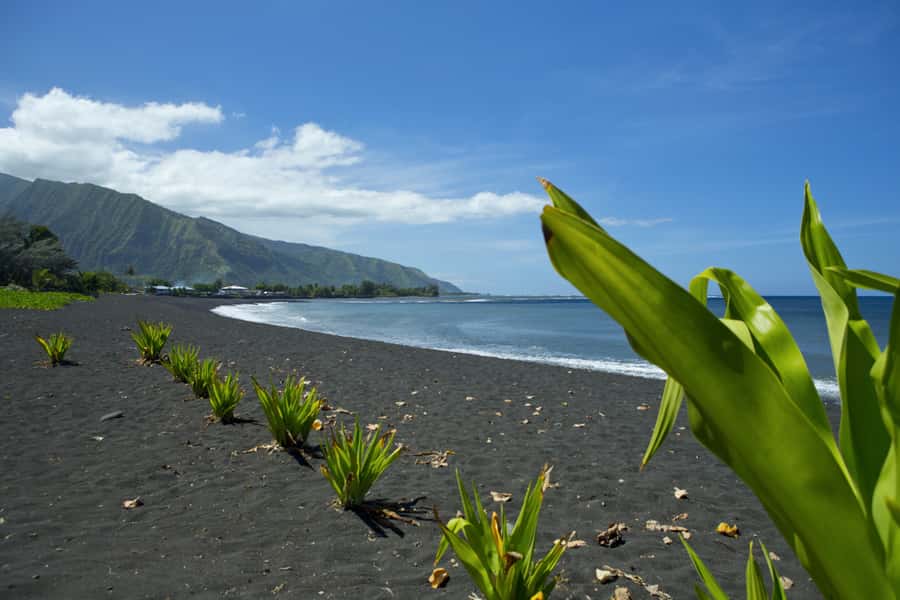 From Papeete: Tahiti Highlights Full-Day Private Tour - Faaone and Faarumai bring two waterfall moods