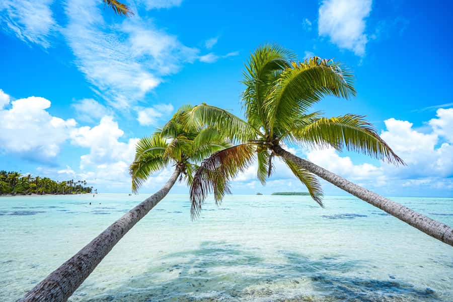 From Tahiti: Tetiaroa Island Tour by Sailing Catamaran - Key points to know before booking