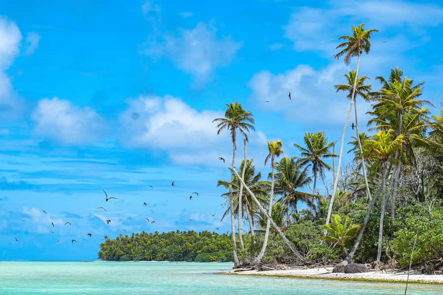 From Tahiti: Tetiaroa Island Tour by Sailing Catamaran - What the 2.5-hour catamaran crossing is really like