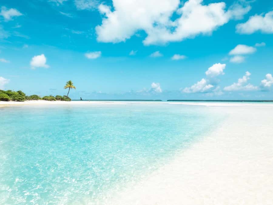 From Tahiti: Tetiaroa Island Tour by Sailing Catamaran - Snorkeling along the reef after lunch