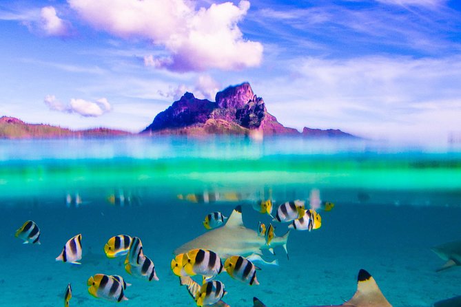 Full-Day Bora Bora Lagoon Cruise Including Snorkeling with Sharks and Stingrays - A Six-Hour Day Built Around Bora Bora’s Lagoon