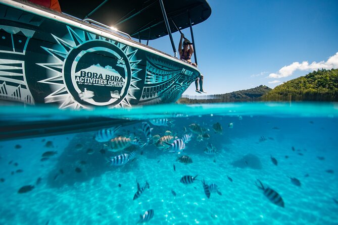 Full Day Eco Snorkeling & Traditional BBQ Lunch on a Motu - Who will enjoy this most