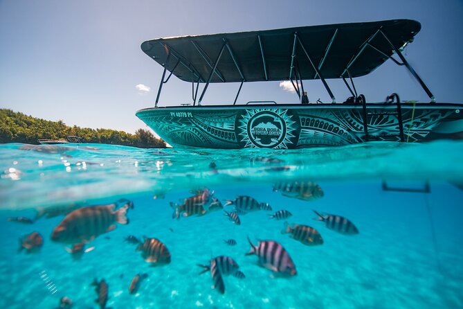Full Day Eco Snorkeling & Traditional BBQ Lunch on a Motu - The coral garden stop