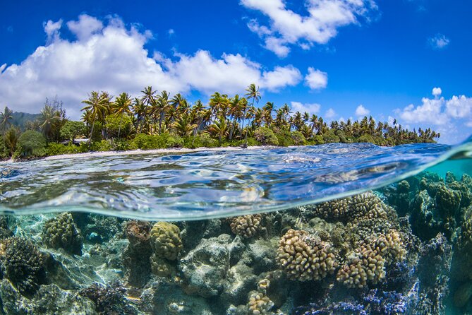 Full Day Lagoon Group Tour in Bora Bora with Lunch - Booking, timing, and cancellation basics