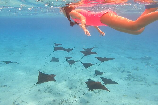 Full-day Lagoon Safari Tour with Lunch in Bora Bora - Shared tour - Key points to know before booking