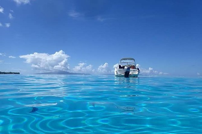 Full-Day Private Boat Tour of Bora Bora Lagoon with Snorkel - Coral Canyon, rays, sharks, and the value of a local guide
