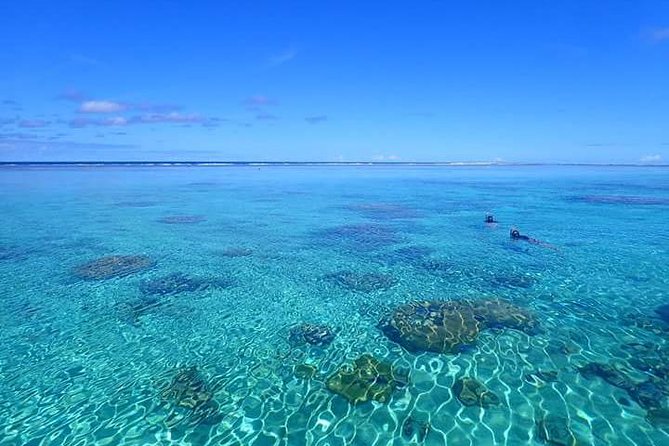 Full-Day Private Boat Tour of Bora Bora Lagoon with Snorkel - A one-hour motu break between the morning and afternoon