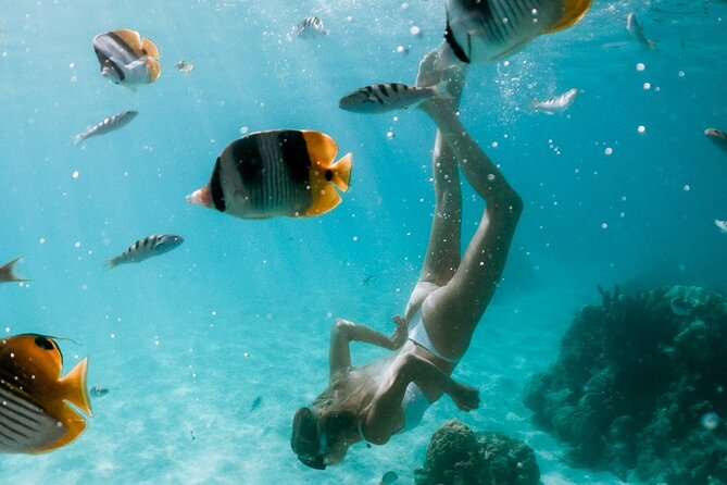 Full Day Tour : Moorea Snorkeling & Sunset Cruise on a Catamaran named Taboo - Why Taboo makes a strong Moorea day on the water