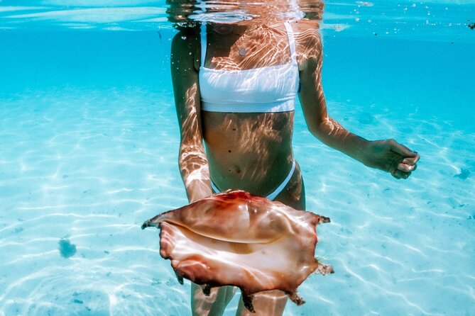 Full Day Tour : Moorea Snorkeling & Sunset Cruise on a Catamaran named Taboo - From snorkeling to Cook’s Bay and Opunohu Bay