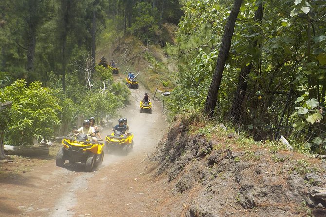 Grand Tour Quad Excursion in Moorea (Single or Two-Seater) - Belvedere Lookout and the two famous bays