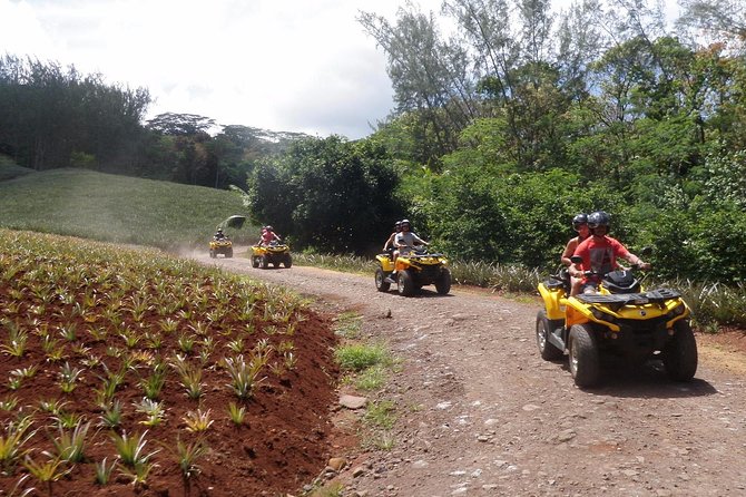 Grand Tour Quad Excursion in Moorea (Single or Two-Seater) - Fare Tutava and a taste of local products