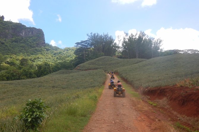 Grand Tour Quad Excursion in Moorea (Single or Two-Seater) - Guides, group size, and the feel of the day