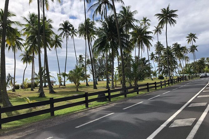 Guided Excursion in 4x4 in Moorea between Land and Sea - Belvedere Lookout frames Cook Bay and Opunohu Bay