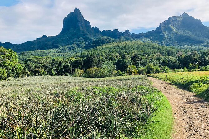 Guided Excursion in 4x4 in Moorea between Land and Sea - Magic Mountain gives you the first great view