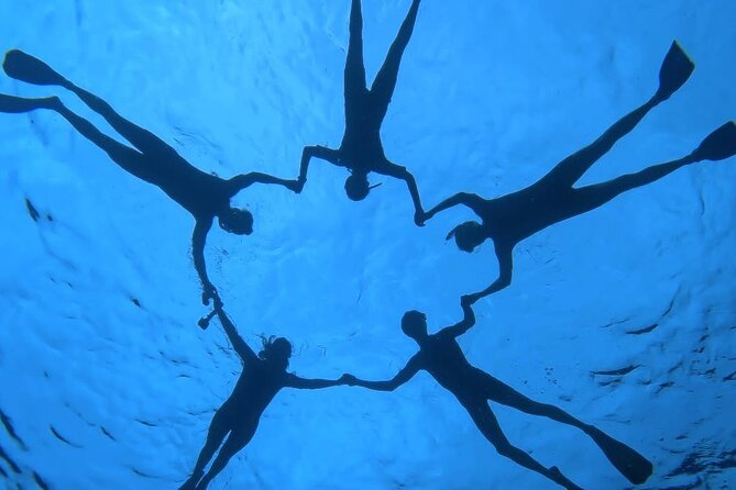 Guided Small Group Whale Watching and Swim Tour Tahiti - What the crew adds to the experience