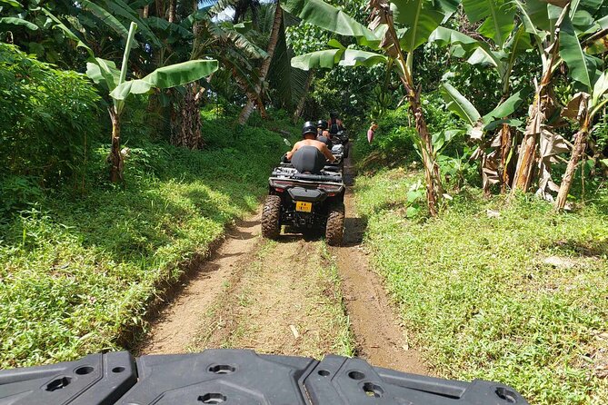 Guided tour of the island and its escapades in Tahaa by Quad / ATV - Hipu’s fruit and vegetable plantations