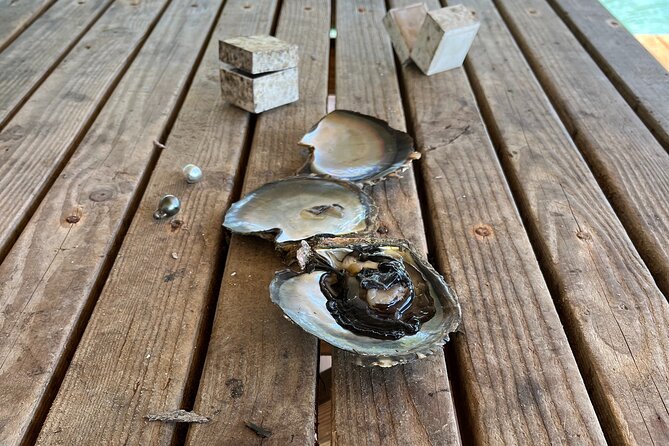 Guided tour of the island of Tahaa with Revanui Excursions - Private motu lunch: where the tour earns its keep