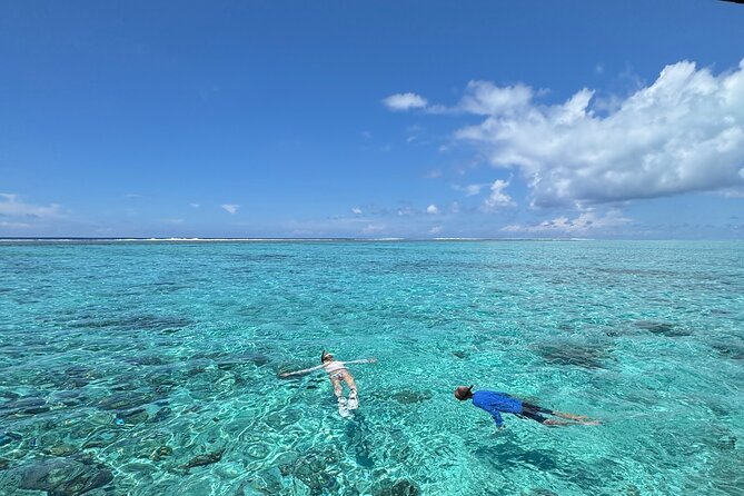 Half day Eco Snorkeling small group Tour in Bora Bora - Quick Takeaways for Your Morning on the Lagoon
