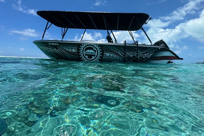 Half day Eco Snorkeling small group Tour in Bora Bora - Setting Out at 9:00 am