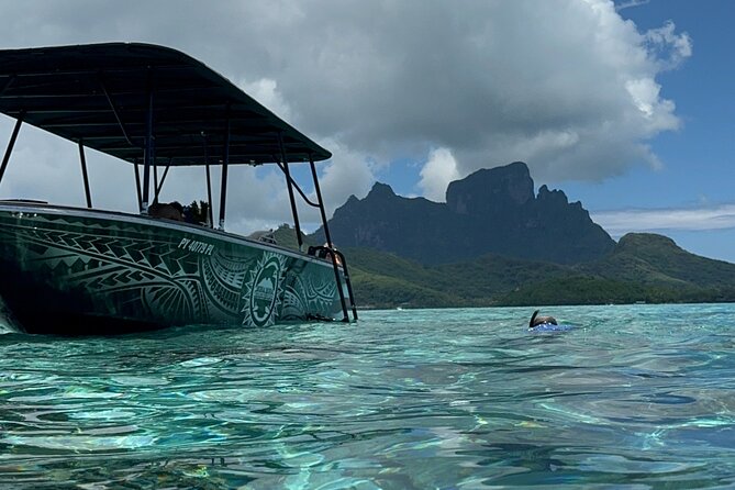 Half day Eco Snorkeling small group Tour in Bora Bora - Stop Three: Blacktip Reef Sharks