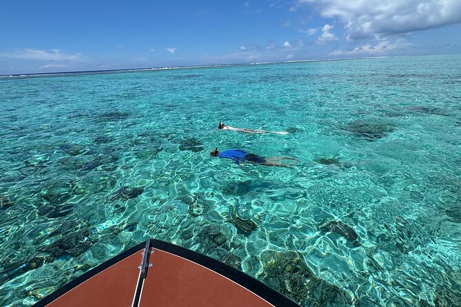 Half day Eco Snorkeling small group Tour in Bora Bora - Stop Four: The Coral Garden