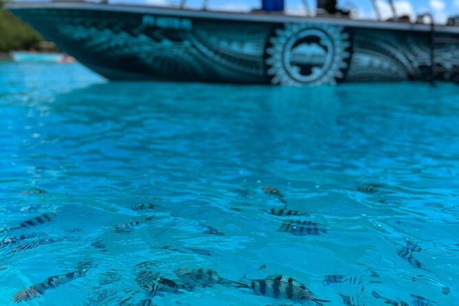 Half day Eco Snorkeling small group Tour in Bora Bora - What the Guides Add to the Experience