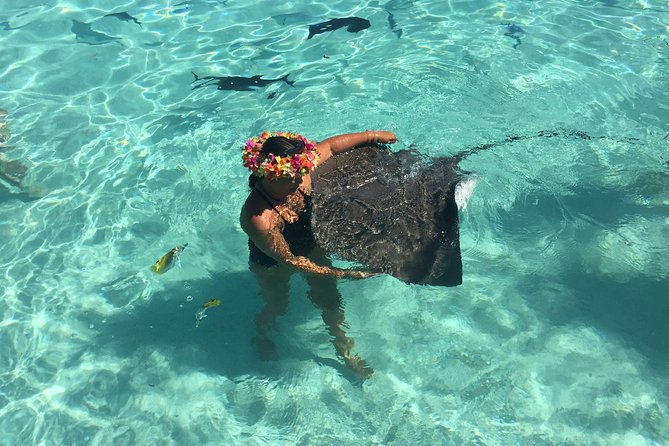 Half day Excursion, Drift Snorkeling Lagoon Adventure. 3H - Key Details Before You Book