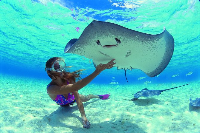 Half day Excursion, Drift Snorkeling Lagoon Adventure. 3H - Why the Glass-Bottom Boat Matters