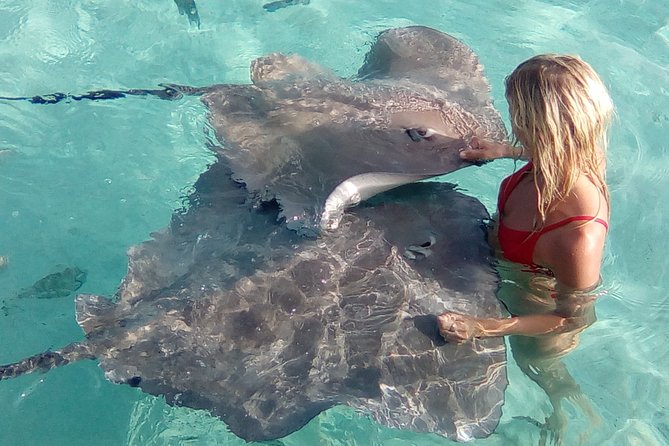 Half day Excursion, Drift Snorkeling Lagoon Adventure. 3H - Three Water Stops, With Snorkeling Optional