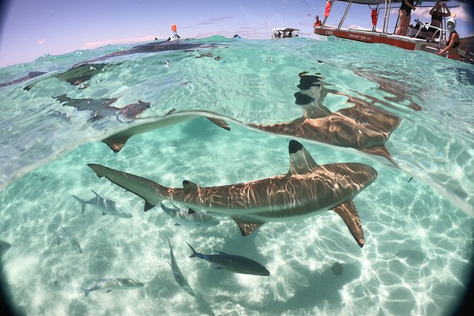Half day Excursion, Drift Snorkeling Lagoon Adventure. 3H - A Small Group Makes the Morning Easier