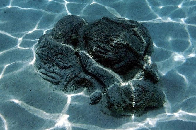 Half day Excursion, Drift Snorkeling Lagoon Adventure. 3H - What the $91.24 Price Buys You