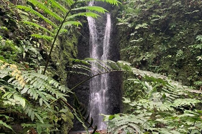 Half-Day Guided Hike to Afareaitu Waterfall - Key points before you book