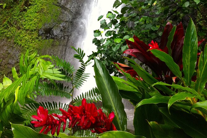 Half-Day Guided Hike to Afareaitu Waterfall - Why Afareaitu Valley feels different from a standard waterfall walk