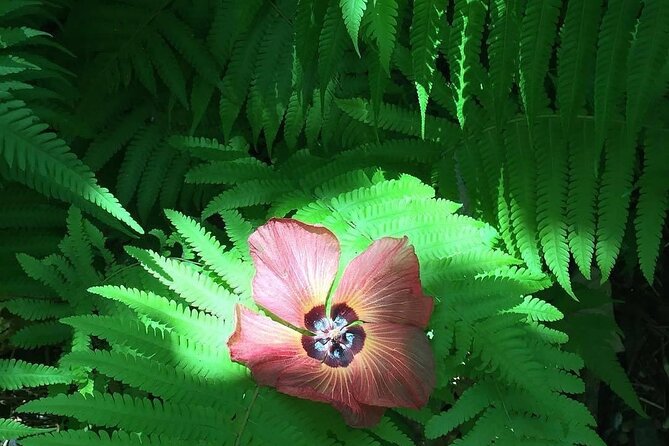 Half-Day Guided Hike to Afareaitu Waterfall - Fresh fruit in a private garden beside the river