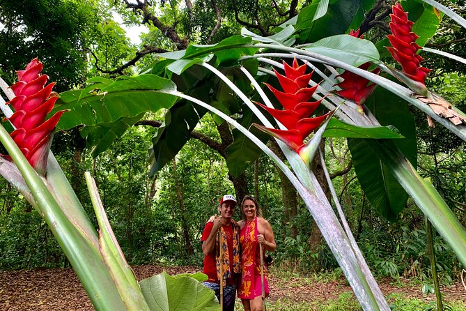 Half-Day Guided Hike to Afareaitu Waterfall - Timing, group size, and the value of the price