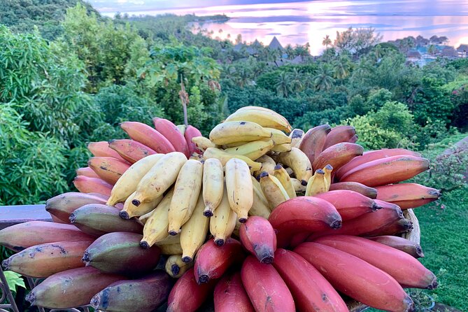 Half-Day Guided Hike to Afareaitu Waterfall - What to bring for a safer, more comfortable hike