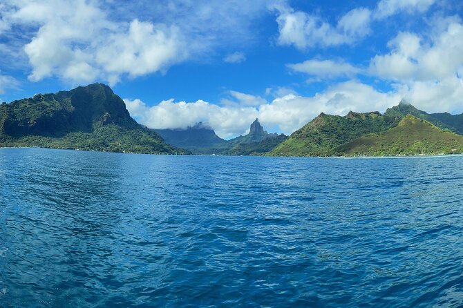 Half-Day Humpback Whales Encounter in Moorea - Key points at a glance