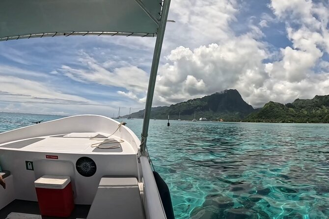 Half-Day Humpback Whales Encounter in Moorea - Searching along Moorea’s coast