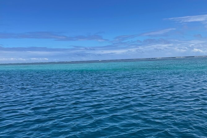 Half-Day Humpback Whales Encounter in Moorea - Choosing between the boat and the water