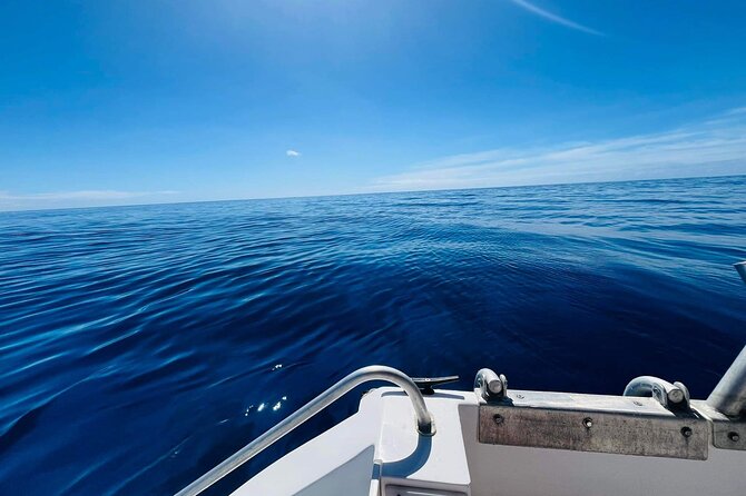 Half-Day Humpback Whales Encounter in Moorea - Why the six-person water limit matters