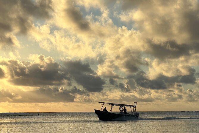 Half-Day Humpback Whales Encounter in Moorea - Is $236.85 a fair price?