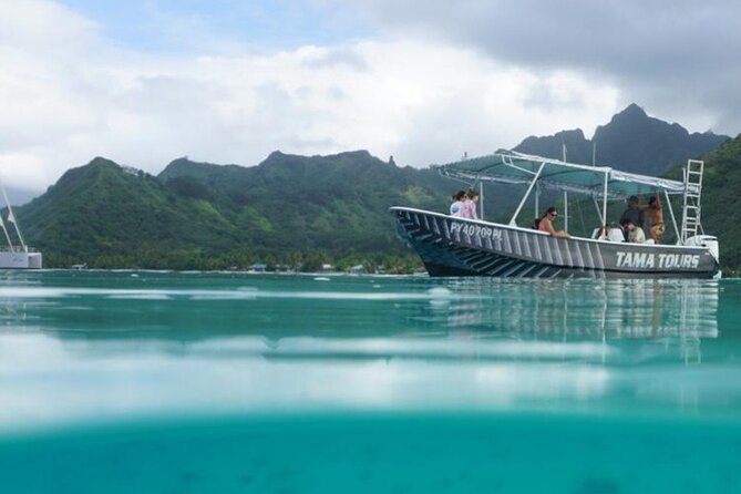 Half-Day Humpback Whales Encounter in Moorea - The first briefing sets the tone