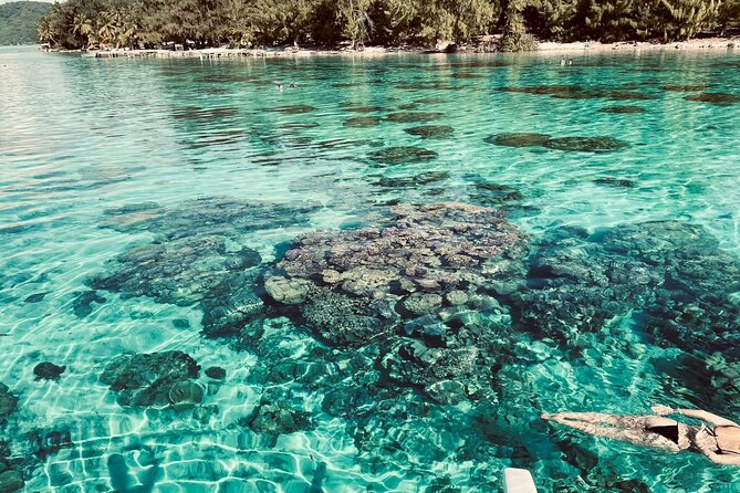 Half day lagoon safari tour in Bora Bora- Shared tour - Why this half-day tour works well in Bora Bora