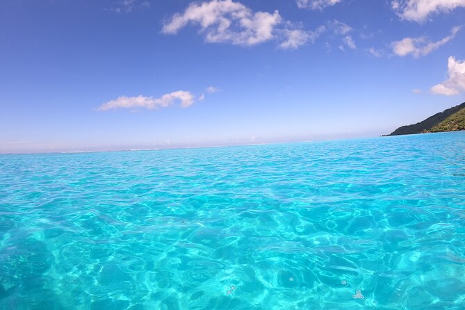 Half Day Private Boat Snorkeling Excursion Moorea - Tiahura’s turtles and stingrays